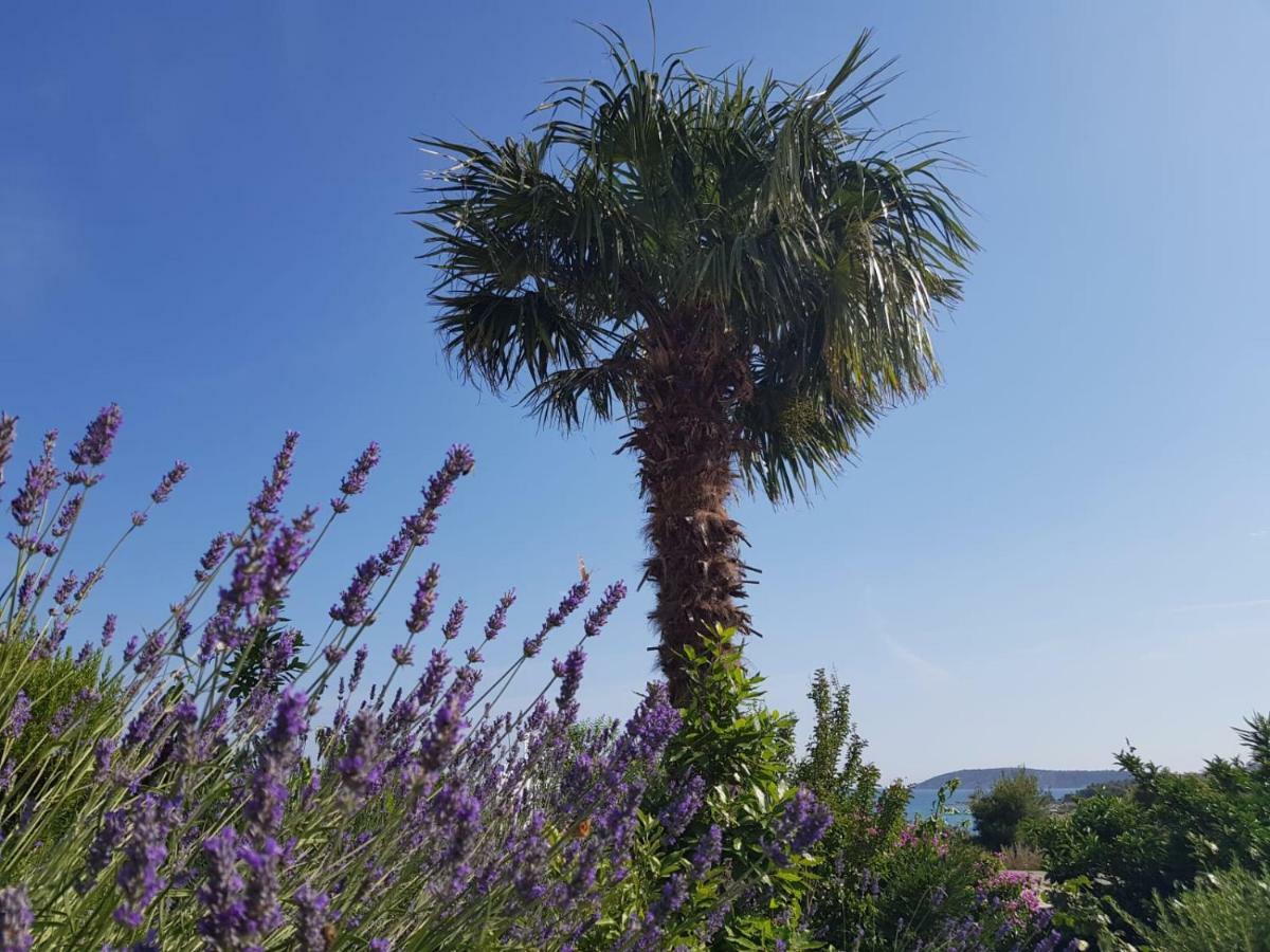 Apartment Maslina Šibenik Dış mekan fotoğraf